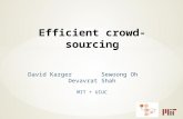 Efficient crowd-sourcing