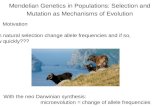 Mendelian Genetics in Populations: Selection and Mutation as Mechanisms of Evolution