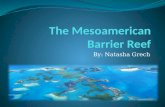 The Mesoamerican Barrier Reef