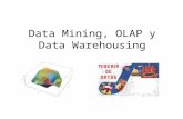 Data Mining, OLAP y Data Warehousing