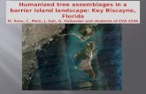 Humanized tree assemblages in a barrier island landscape: Key Biscayne, Florida