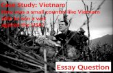 Case Study: Vietnam How was a small country like Vietnam able to win a war  against the USA?