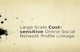Large -Scale  Cost-sensitive Online Social Network Profile Linkage