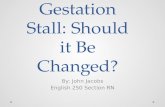 Gestation Stall: Should it Be Changed?