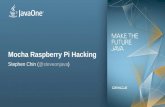Mocha Raspberry Pi Hacking