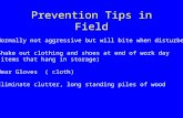 Prevention Tips in Field