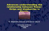 Advances understanding the relationship between flower-thrips and blueberries in Florida