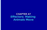 CHAPTER 47 Effectors: Making  Animals Move
