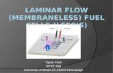 Laminar Flow ( Membraneless ) Fuel cells (LFFC’s)