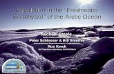 Circulation in the “Freshwater Switchyard” of the Arctic Ocean