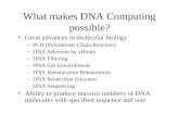 What makes DNA Computing possible?