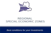 REGIONAL  SPECIAL ECONOMIC ZONES