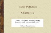Water Pollution Chapter 19