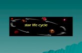 Astronomy – Stellar Evolution
