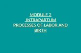 MODULE 2  INTRAPARTUM PROCESSES OF LABOR AND BIRTH