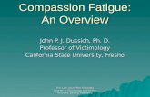 Compassion Fatigue: An Overview