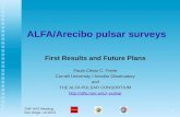 ALFA/Arecibo pulsar surveys