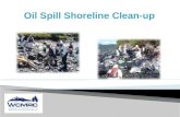 Oil Spill Shoreline Clean-up