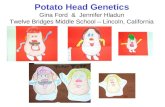 Potato Head Genetics Gina Ford  &  Jennifer Hladun Twelve Bridges Middle School – Lincoln, California