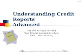 Understanding Credit Reports  Advanced
