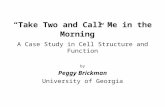 “Take Two and Call Me in the Morning” A Case Study in Cell Structure and Function