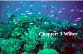 Chapter: 3 Water