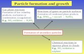 Particle formation and growth