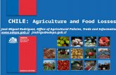 CHILE:  Agriculture  and  Food Losses José Miguel Rodríguez,  Office of Agricultural Policies, Trade and Information