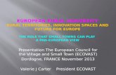 EUROPEAN RURAL UNIVERSITY rural territories, innovation spaces and future for  europe The role that small towns can play  a pan- european  view