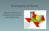 Ecoregions  of Texas