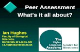 Peer Assessment What’s it all about?