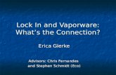 Lock In and Vaporware: What’s the Connection?