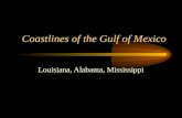 Coastlines of the Gulf of Mexico