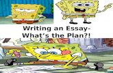 Writing an Essay-What’s the Plan?!