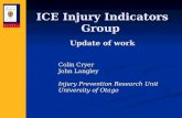 ICE Injury Indicators Group  Update of work