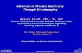 Advances in Skeletal Dosimetry  Through Microimaging