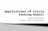 Applications of Circle Packing Moduli