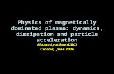 Physics of magnetically dominated plasma: dynamics, dissipation and particle acceleration