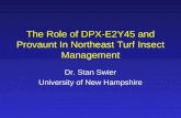 The Role of DPX-E2Y45 and Provaunt In Northeast Turf Insect Management