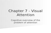 Chapter 7 - Visual Attention