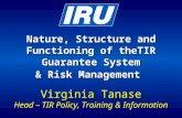 Nature, Structure and Functioning of theTIR Guarantee System & Risk Management Virginia Tanase Head – TIR Policy, Training & Information Moscow, October 2003