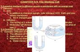 CHAPTER 5   The Working Cell