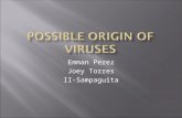 Possible Origin of Viruses