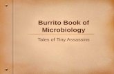 Burrito Book of Microbiology