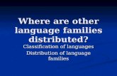 Where are other language families distributed?
