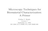 Microscopy Techniques for Biomaterial Characterization:  A Primer