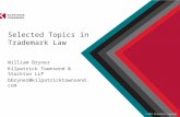 Selected Topics in Trademark Law