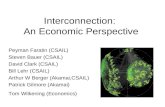 Interconnection:  An Economic Perspective