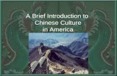 A Brief Introduction to  Chinese Culture in America