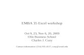 EMBA 35 Excel workshop